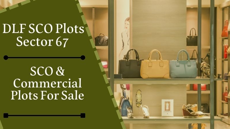 DLF SCO Plots Sector 67 Gurugram