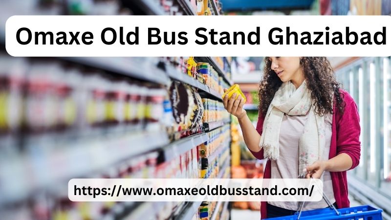 Omaxe Old Bus Stand Ghaziabad (5)