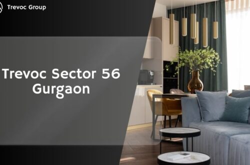 Trevoc Sector 56 Gurgaon