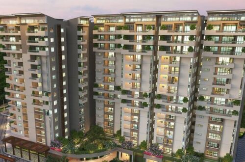 Whiteland Sector 103 Gurgaon