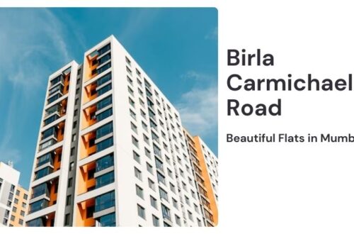 Birla Carmichael Road