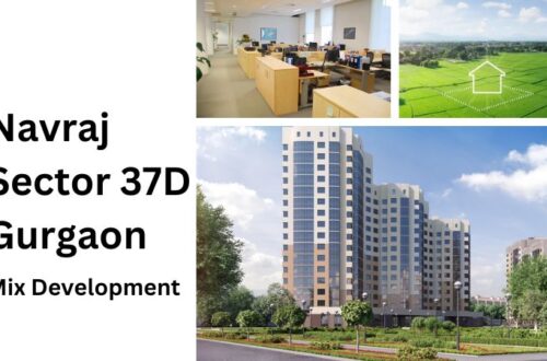 Navraj Sector 37D Gurgaon