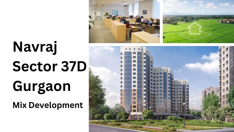 Navraj Sector 37D Gurgaon