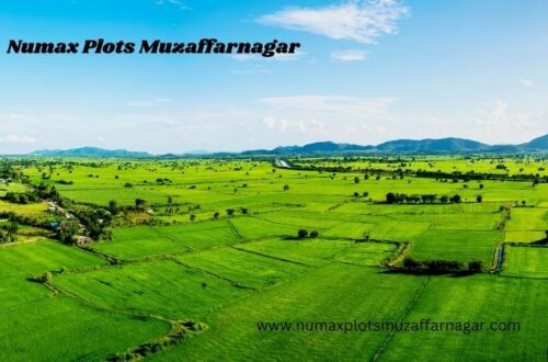 Numax Plots Muzaffarnagar