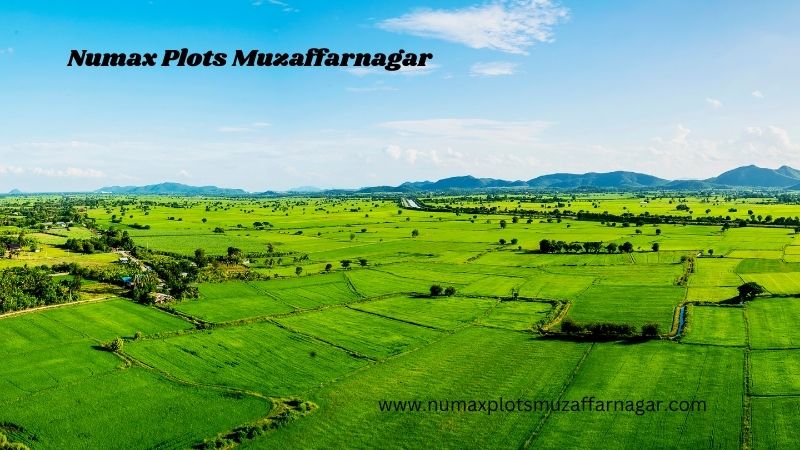 Numax Plots Muzaffarnagar