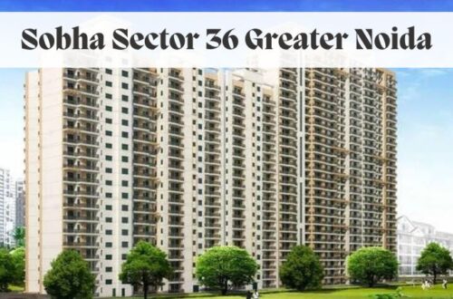 Sobha Sector 36 Greater Noida