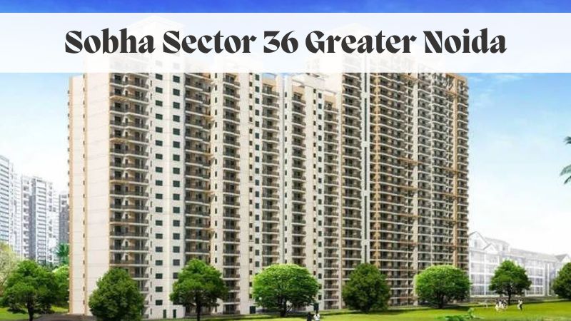 Sobha Sector 36 Greater Noida