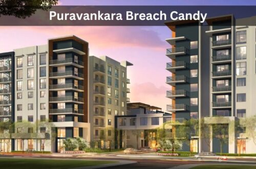 Puravankara Breach Candy