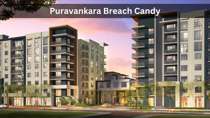 Puravankara Breach Candy