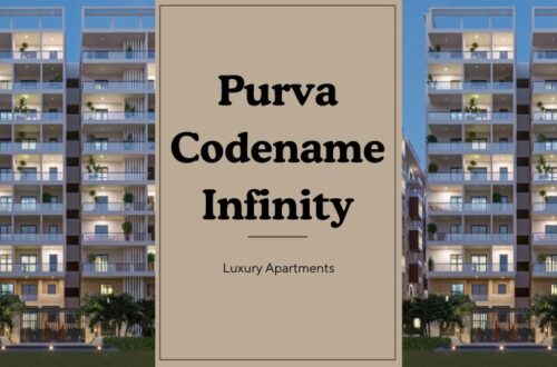 Purva Codename Infinity