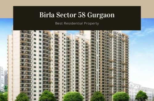 Birla Sector 58 Gurgaon